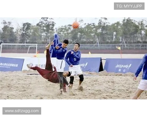 上海足球队在挑战赛中的团队协作表现分析与点评