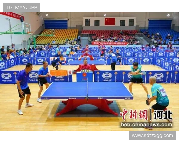 乒乓球的魅力与团结精神西安乒乓球队的协作之道探秘