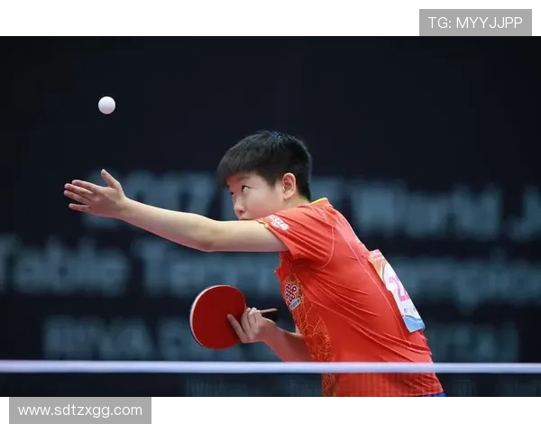乒乓球的魅力：深入分析杭州乒乓球队员的个人技术与战术能力