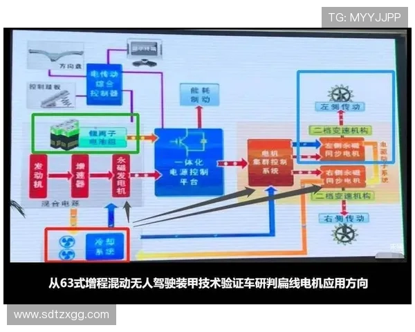乒乓球深度解析西安乒乓球队如何实现整体压制与战术优势