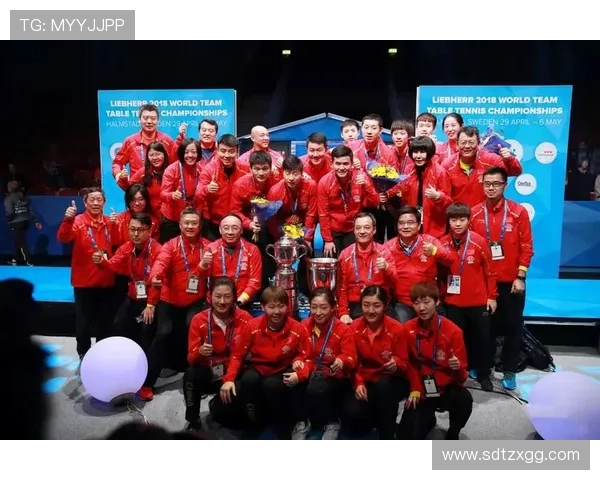 乒乓球耐力排行榜揭晓上海乒乓球队荣登第六名引发关注