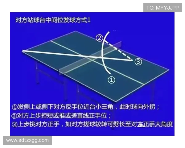 从零起步掌握乒乓球节奏技巧全解析助你快速提升球技