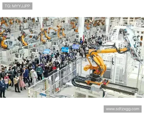 深入解析上海乒乓球队实力对比与发展潜力的全景观察