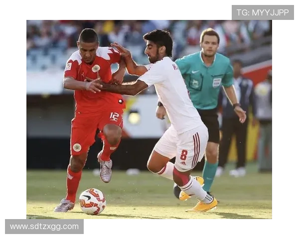 武汉羽毛球队在锦标赛中的团队协作表现分析与点评